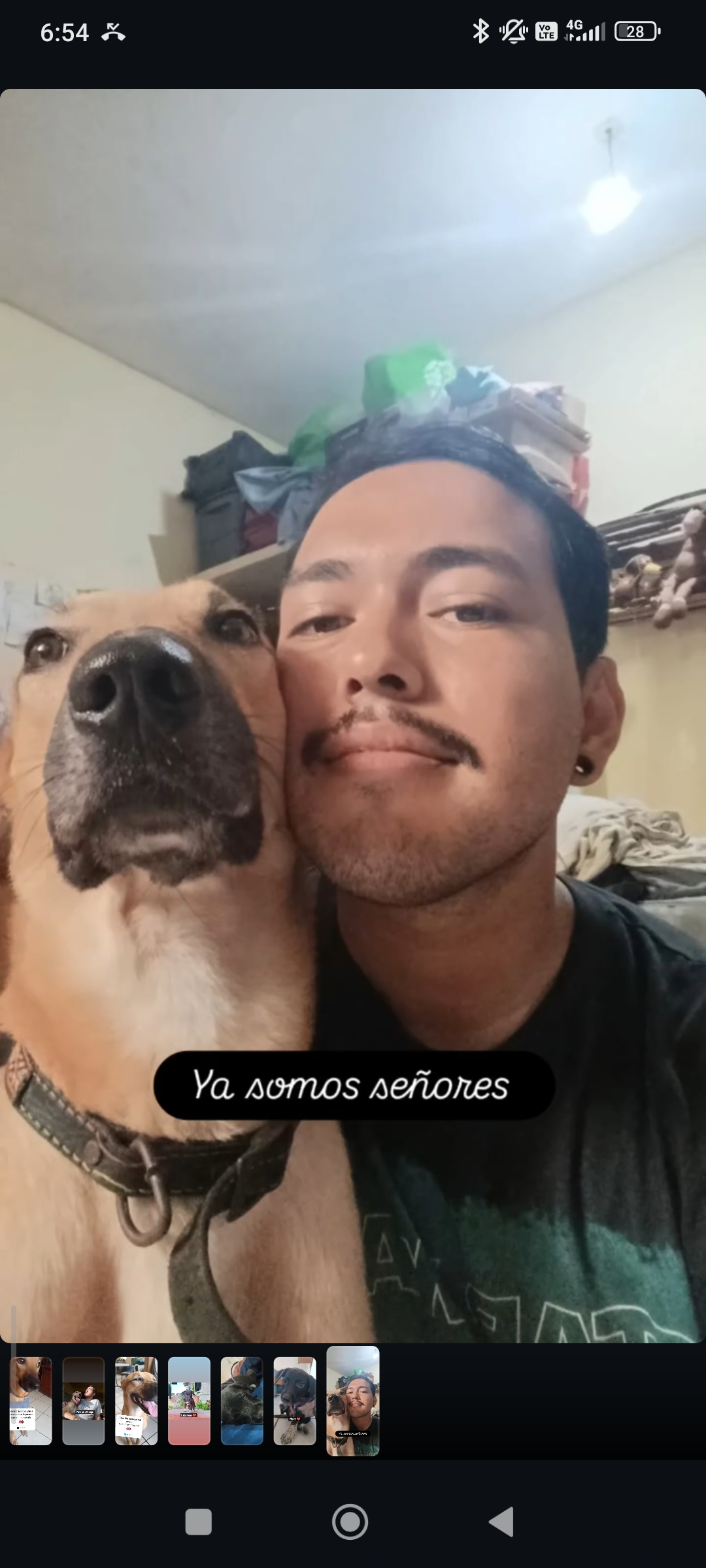 Avatar del Perfil