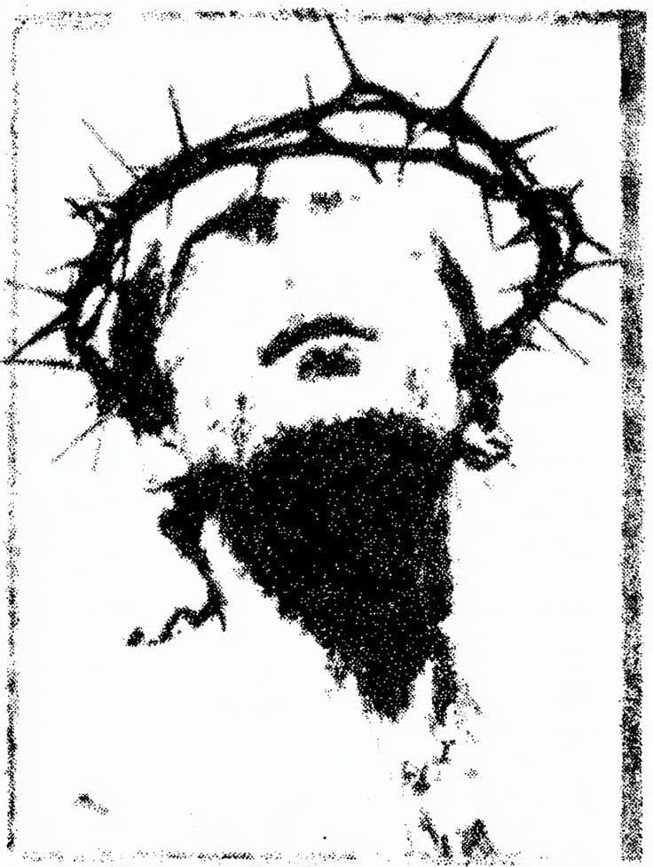 Avatar del Perfil